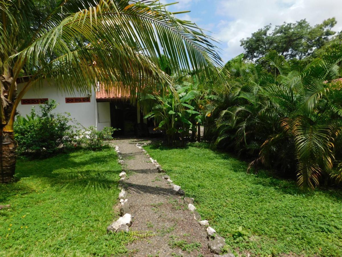 Villas jungle 5 Sámara Exterior foto